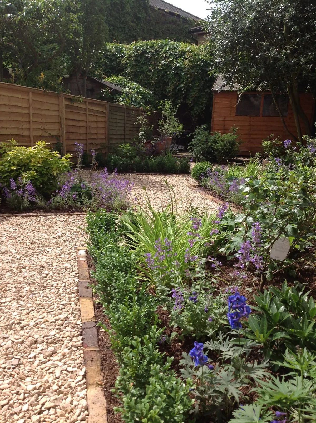 Complete garden transformation with new gravel pathways and planting in a London garden
