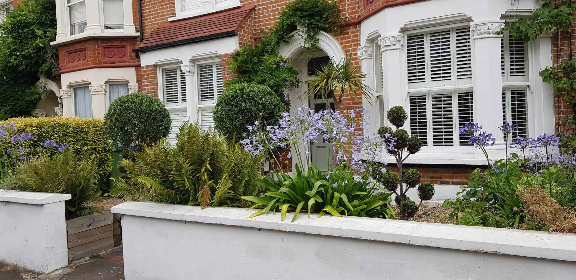 Well-maintained front garden with agapanthus and topiary from an ongoing garden care programme